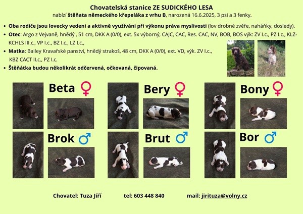 chovatelska_stanice_ze_sudickeho_lesa_-2-.jpg