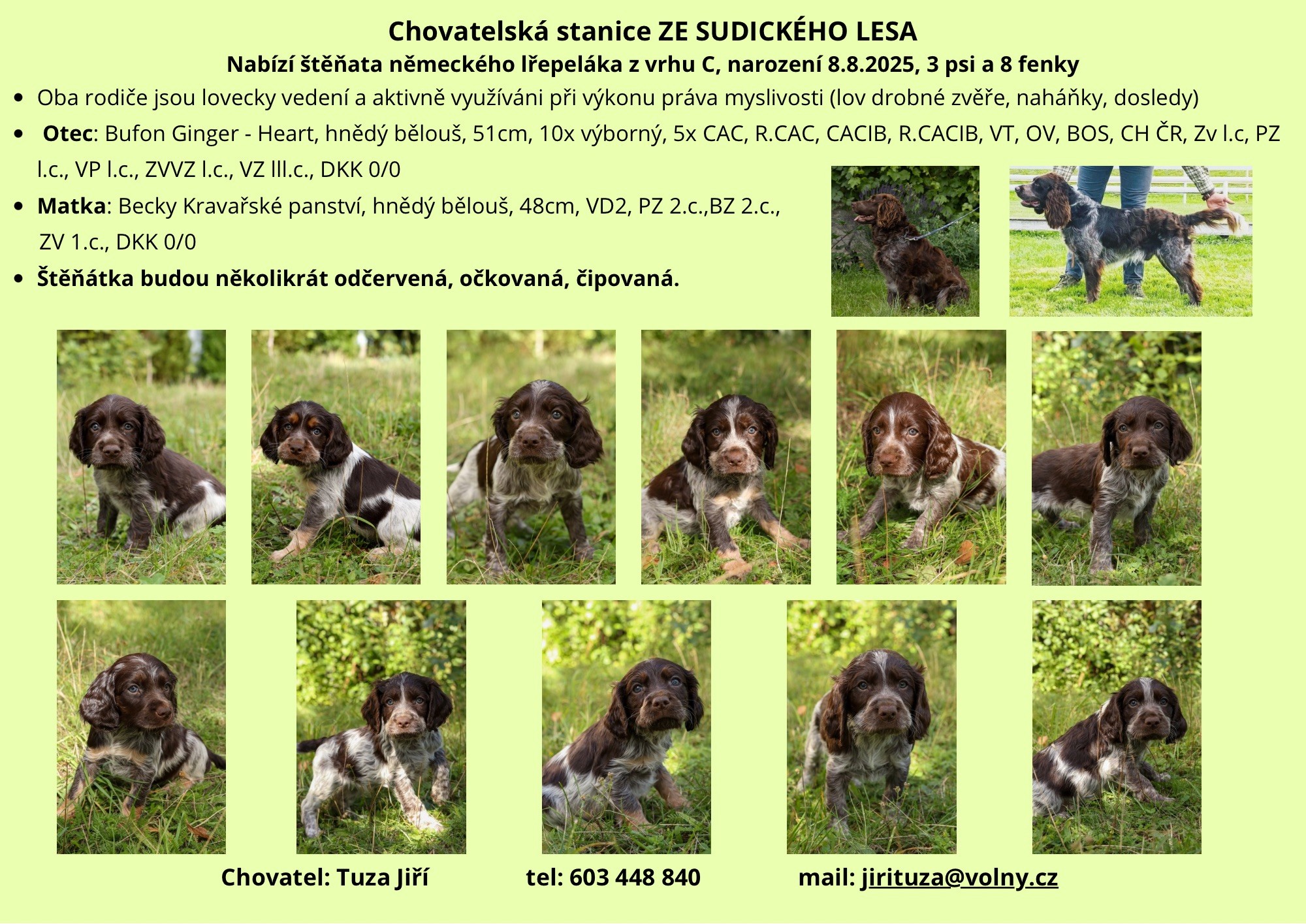 chovatelska_stanice_ze_sudickeho_lesa-6-tydnu.jpeg